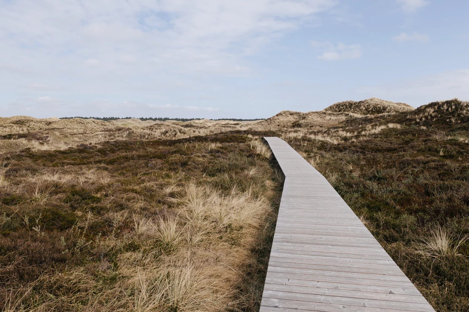 Amrum & Seeblick Eindrücke
